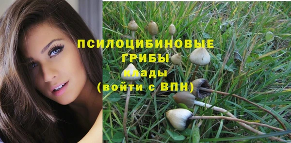 кокс Абдулино