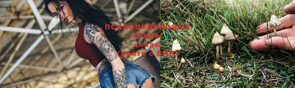 кокс Абдулино