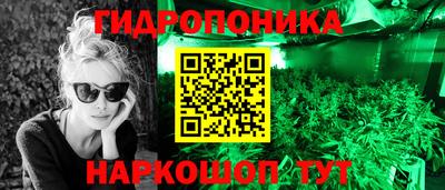 ПСИЛОЦИБИНОВЫЕ ГРИБЫ Бердск